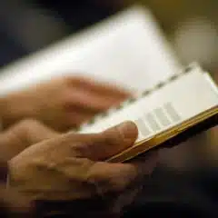 Aktionärsrechte und Corporate Governance