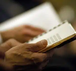 Aktionärsrechte und Corporate Governance