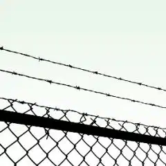 Strafrecht: Bedingte Geldstrafe abschaffen