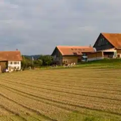 Landwirtschaftliche Pacht