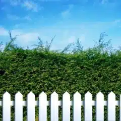 Nachbarrecht: Streit mit dem Nachbarn