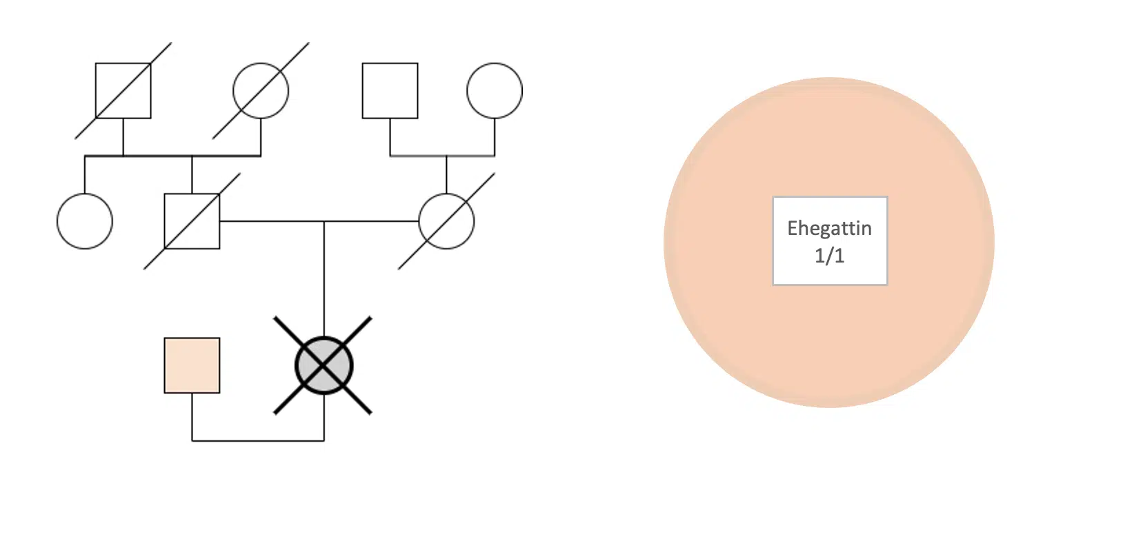 Beispiel: Ehegatte und 3. Parentel