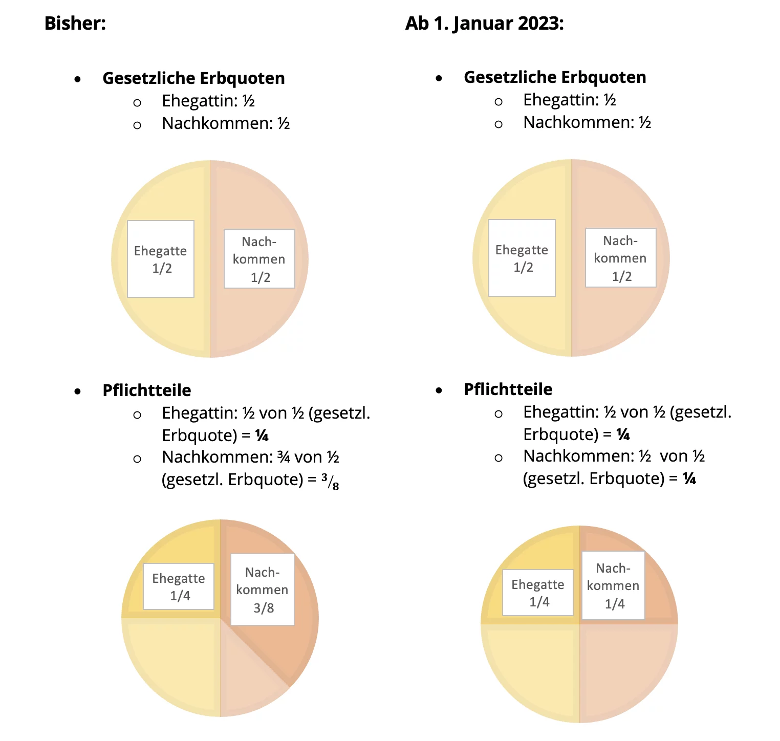 Nachkommen-Pflichtteil