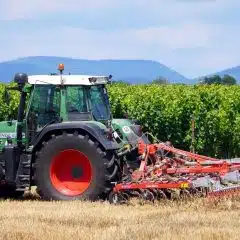 Agrarpolitik 2030 +: BR will mehr Handlungsspielraum für die Landwirtschaft