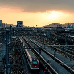 Zuzug ausländischer Wohnbevölkerung: Rückläufige Nettozuwanderung im Jahr 2025