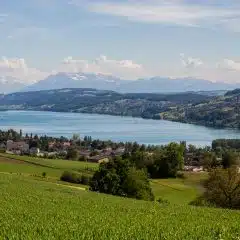 Kanton Aargau will Baubewilligungsverfahren effizienter gestalten